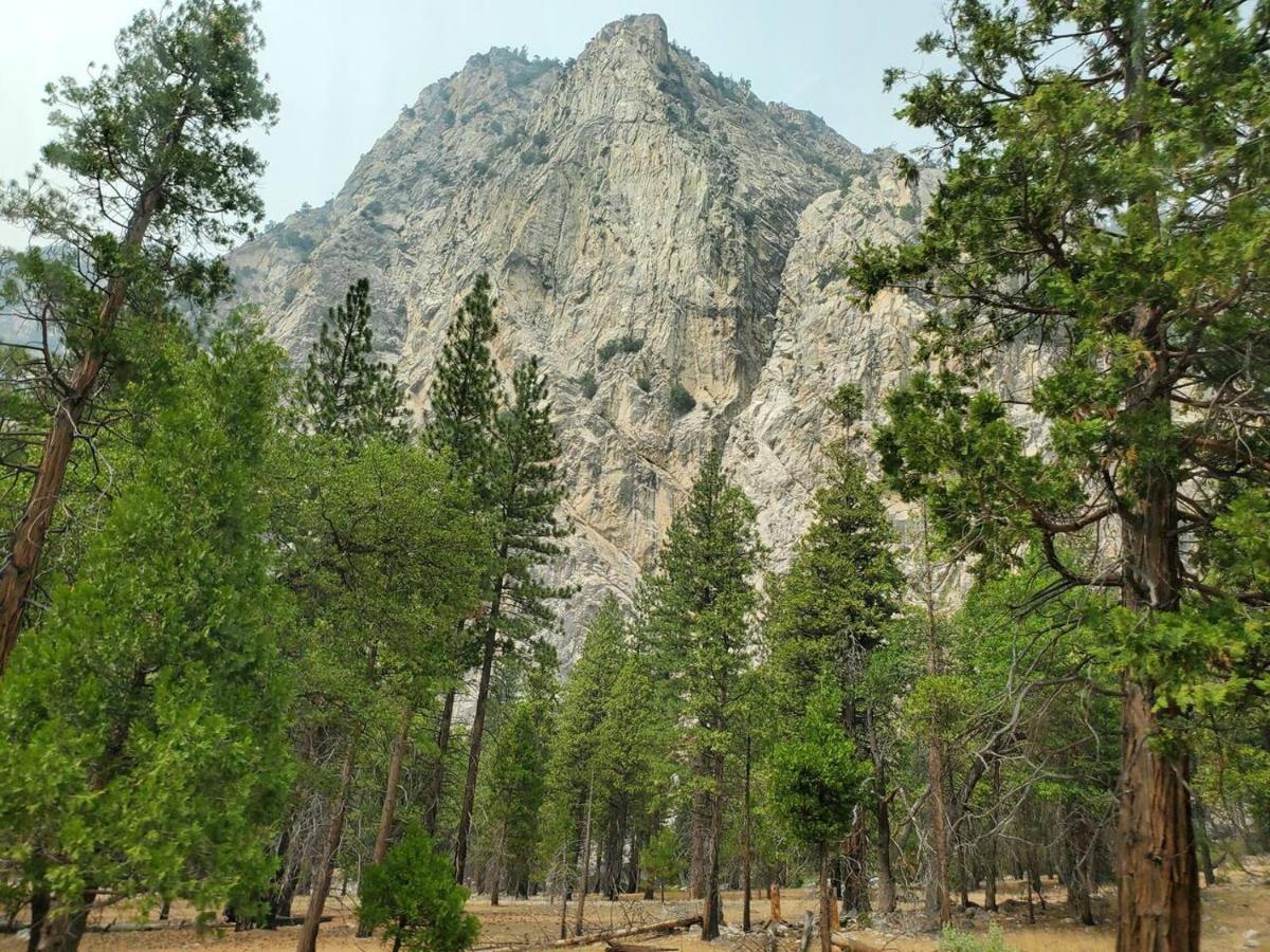 Wilsonia Sequoia Glen 빌라 외부 사진